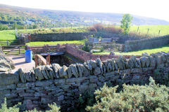 
Trostre Pit site, now a sheep pen, Blaina, September 2010